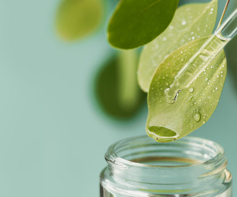 Ethical & Sustainable Production